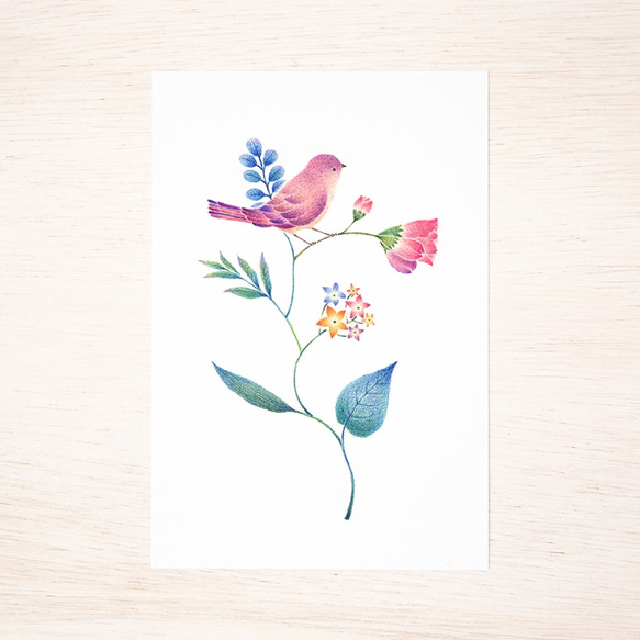5枚セット。絵本のような。ポストカード "紫色の小鳥と草花" PC-75 2枚目の画像