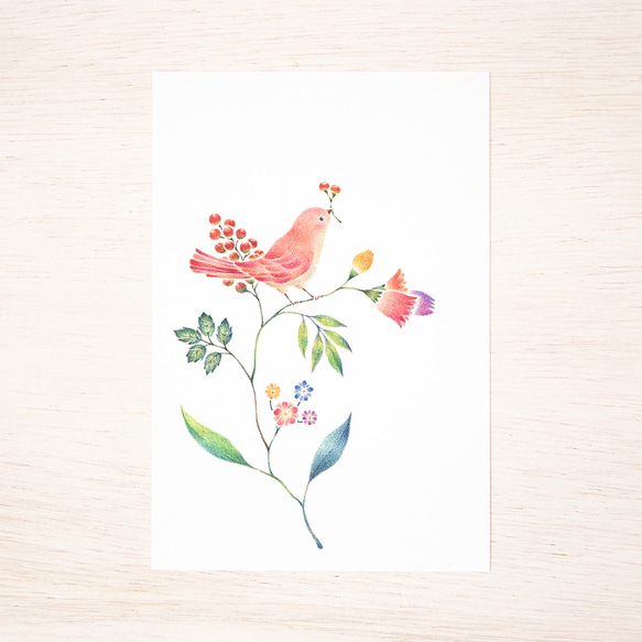 5枚セット。絵本のような。ポストカード "桃色の小鳥と草花" PC-111 2枚目の画像