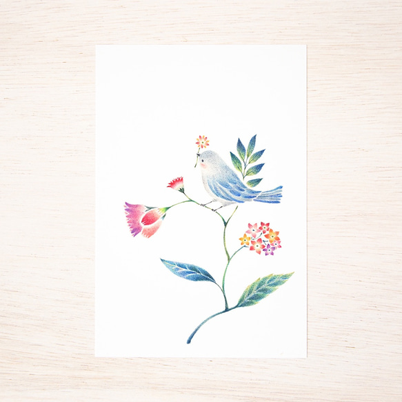 5枚セット。絵本のような。ポストカード "水色の小鳥と草花" PC-113 2枚目の画像