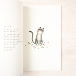 讀小貓。繪本《一隻小貓的故事》BK-2 第4張的照片