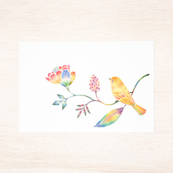 5枚セット。絵本のような。ポストカード "黄色の小鳥と草花" PC-338 2枚目の画像