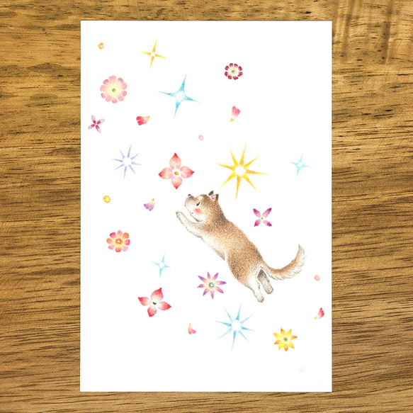4枚セット。絵本のような。ポストカード "子犬のシナモン、花と星雪" PC-326 2枚目の画像