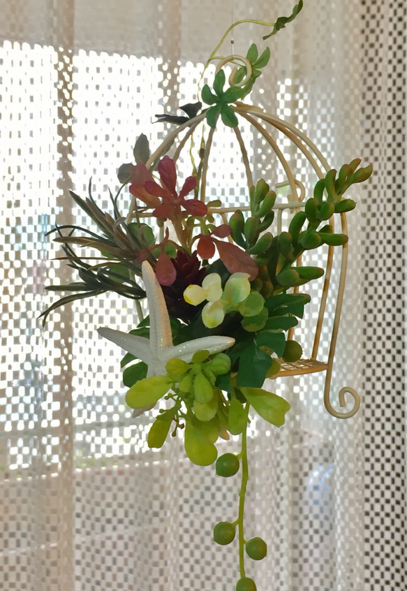 鳥かごサンキャッチャー/多肉植物 4枚目の画像