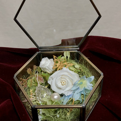 1_3197bc61c17c6b2aa5863756e84c