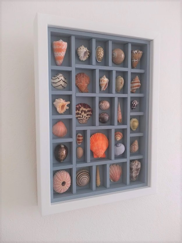 送料無料》貝殻アートフレーム 貝標本風 B5Sa その他インテリア雑貨