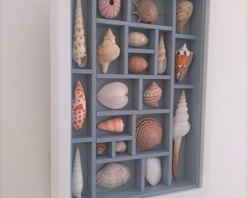 1_6564eac78f946bfb7062515ea665