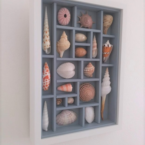 送料無料》貝殻アートフレーム 貝標本風 A4c その他インテリア雑貨