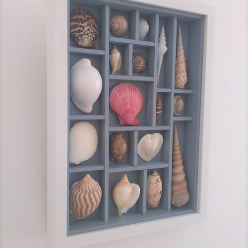 送料無料》貝殻アートフレーム 貝標本風 A4d その他インテリア雑貨
