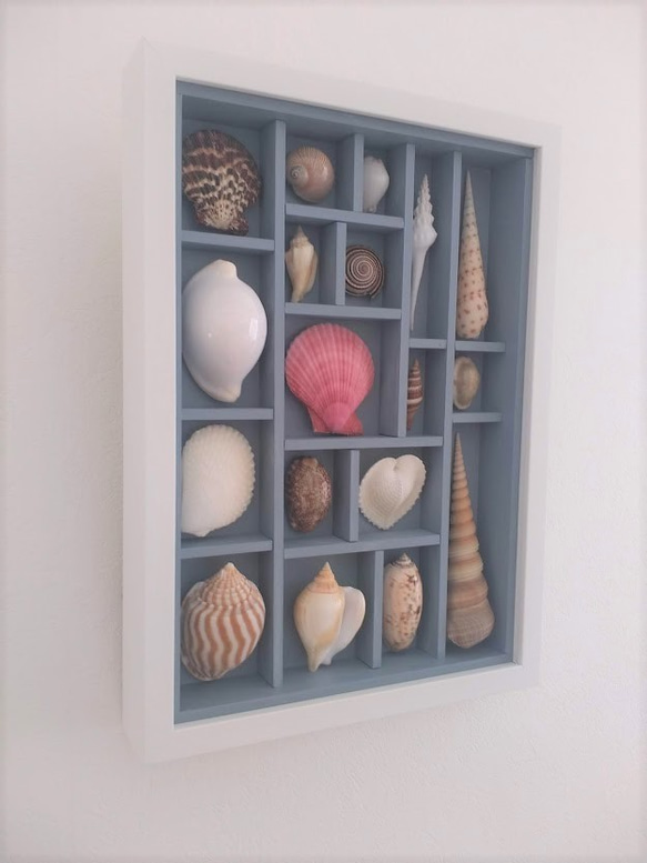 送料無料》貝殻アートフレーム 貝標本風 A4d その他インテリア雑貨