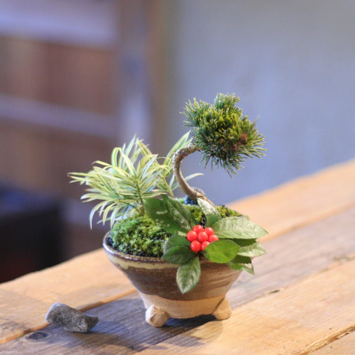 五葉松九重のお正月寄せ植え♡盆栽♡ アートフラワー ratelgreen