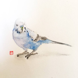 インコ 絵画 のおすすめ人気通販｜Creema(クリーマ) 国内最大の