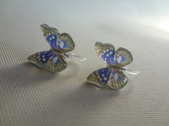 小さな蝶のイヤリング（オオムラサキ） 1枚目の画像