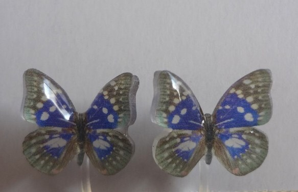小さな蝶のイヤリング（オオムラサキ） 3枚目の画像