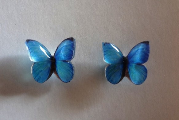 小さな蝶のピアス（モルフォ蝶） 1枚目の画像