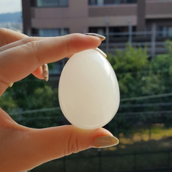 ホワイトアナゴライトの卵 2枚目の画像