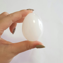 ホワイトアナゴライトの卵 3枚目の画像