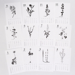 ボタニカルアート カレンダー 2017 （ポストカードサイズ）| Botanical Art Calendar 2枚目の画像