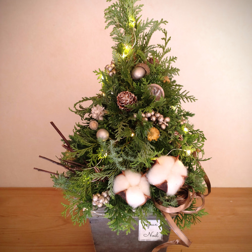 2025クリスマス森のフレッシュツリーMsize ledライト付 H約38cm