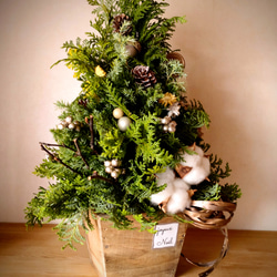 2023クリスマス森のフレッシュツリーMsize　ledライト付　H約38cmクリスマスツリー 6枚目の画像