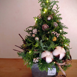 2023クリスマス森のフレッシュツリーMsize　ledライト付　H約38cmクリスマスツリー 3枚目の画像