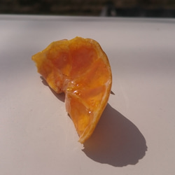 ドライフルーツ オレンジブローチ 4枚目の画像