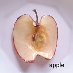 ドライフルーツ りんご ブローチ 1枚目の画像