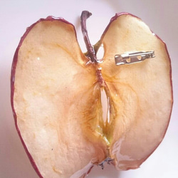 ドライフルーツ りんご ブローチ 2枚目の画像