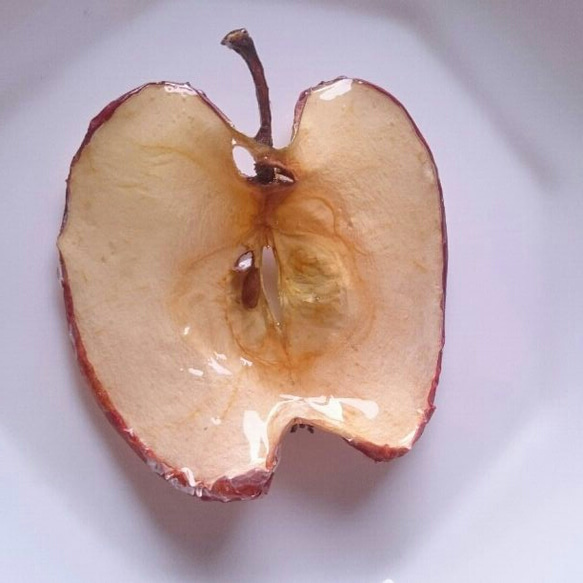 ドライフルーツ りんご ブローチ 3枚目の画像