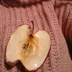 ドライフルーツ りんご ブローチ 5枚目の画像