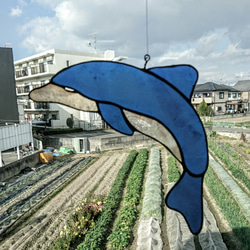 イルカ様 ソガノドルフィン🐬 #蘇我入鹿 #dolphin #イルカ #doodle