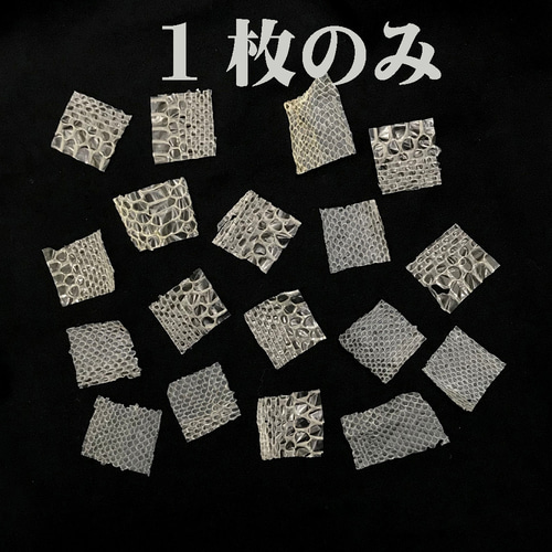 最強「蛇のお札」「白蛇の抜け殻」セット 風水 お守り アイテム 最強「蛇のお札」「白蛇の抜け殻」セット 風水 お守り アイテム
