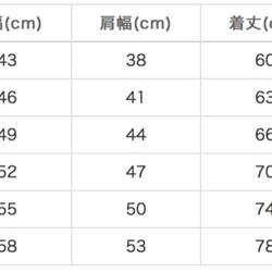  第5張的照片