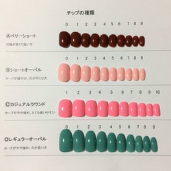 ネイルチップをご購入前に必ずお読みください。 2枚目の画像