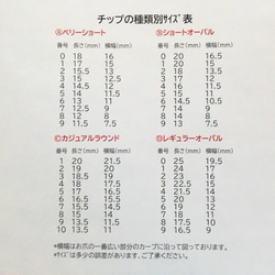 ネイルチップをご購入前に必ずお読みください。 3枚目の画像