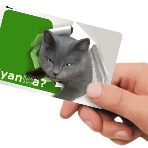 ICカードステッカー にゃにか シール・ステッカー Phoca 通販