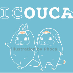 ICカードステッカー　ICOUCA 3枚目の画像