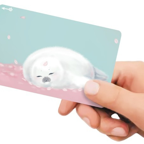 ICカードステッカー 桜あざらし シール・ステッカー Phoca 通販