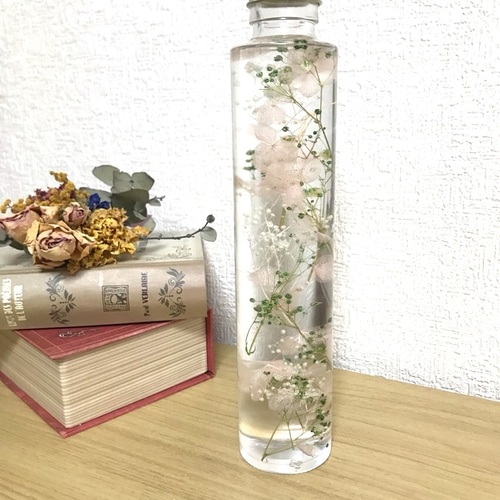 再販❁❁大人気ハーバリウム＊ ハーバリウム・植物標本