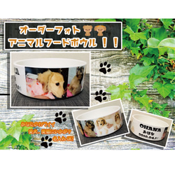 オーダー  ハンドメイド 猫 ペット 犬 フードボウル ボール ビーグル 楽天市場】ペット 食器台 ダブル 通販 フードボウル 犬 猫