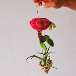 Bird with Plants 2枚目の画像