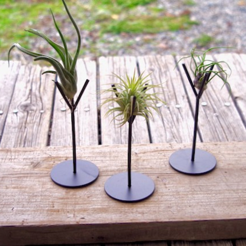 【未使用美品】NOTA SHOPオリジナル花瓶⭐︎スタンド付き エアプランツ ×スタンド セット 一輪挿し・花瓶・花器 airplants TENGU