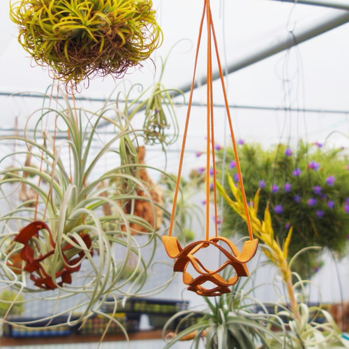 レザープランツハンガー Mサイズ 一輪挿し・花瓶・花器 airplants