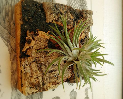 1_6b6a17cf46a29823379f52d353e4