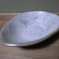 玉ねぎの鉢 3枚目の画像