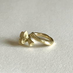 Butterfly : Ring(One color/Brass) 第4張的照片