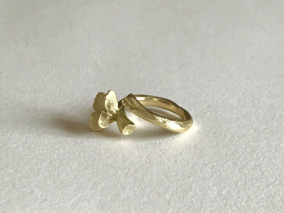 Butterfly : Ring(One color/Brass) 第4張的照片