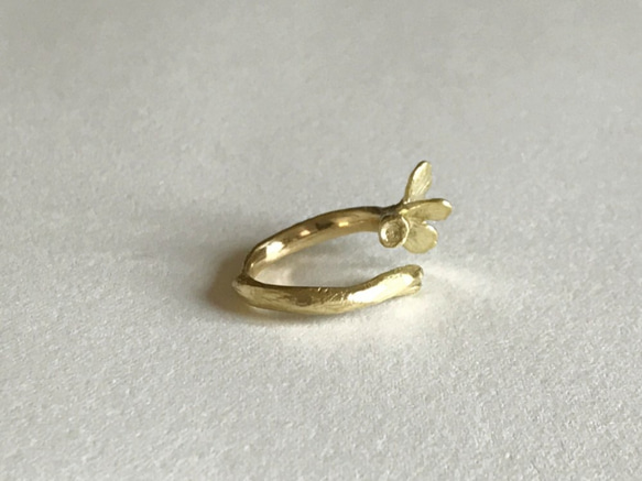 Butterfly : Ring(One color/Brass) 第5張的照片