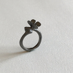Butterfly : Ring(Black coated Brass) 第1張的照片