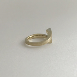 【K10】６:ring 第2張的照片