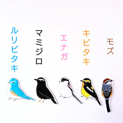 野鳥ブローチ(眉あり5種+シークレット1種)　Creema限定販売　特集掲載 2枚目の画像